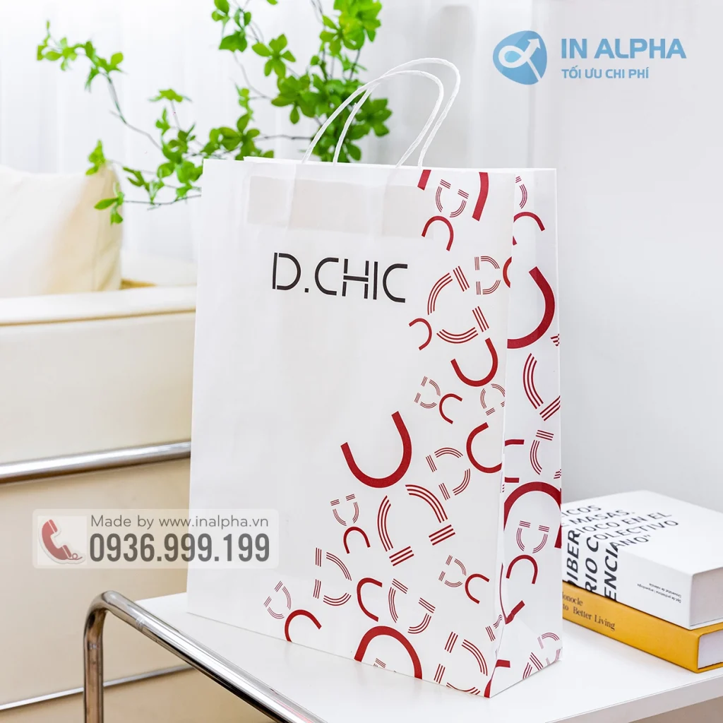 Túi giấy kraft DCHIC quai dây giấy, gia công tỉ mỉ
