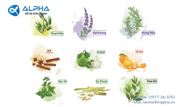 Mẫu thiết kế tem nhãn tinh dầu của Công ty TNHH In Alpha Việt Nam