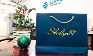 Lựa chọn túi giấy kích thước bao nhiêu là chuẩn?