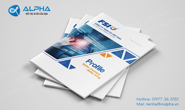 Profile (Hồ sơ năng lực)