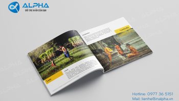 Mẫu catalogue thu hút người xem