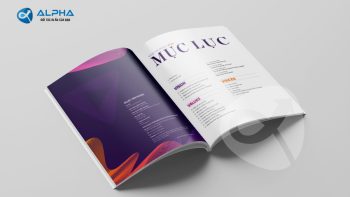 Trước khi in catalogue cần sắp xếp nội dung phù hợp