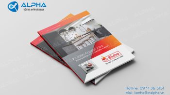 Mẫu catalogue với thiết kế độc đáo