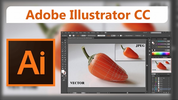 Adobe Illustrator (AI)